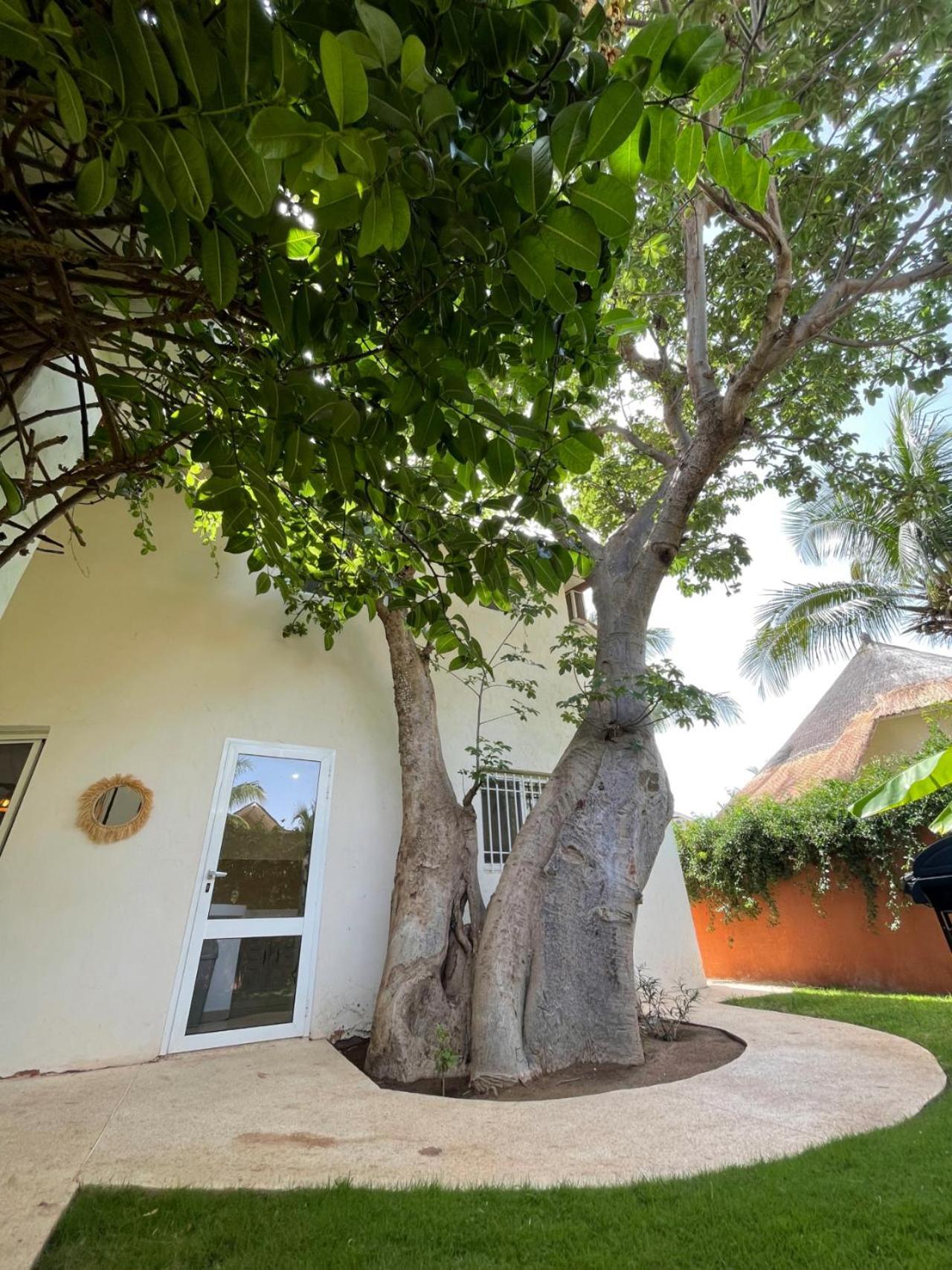 Agence Adjana Resort - Residence Du Port 3 Sali Tap Bagian luar foto